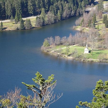 Chalet La Petite Perle Villa Gerardmer Exterior photo