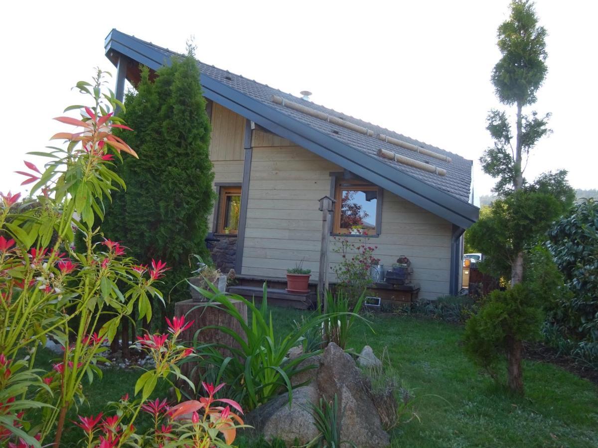 Chalet La Petite Perle Villa Gerardmer Exterior photo