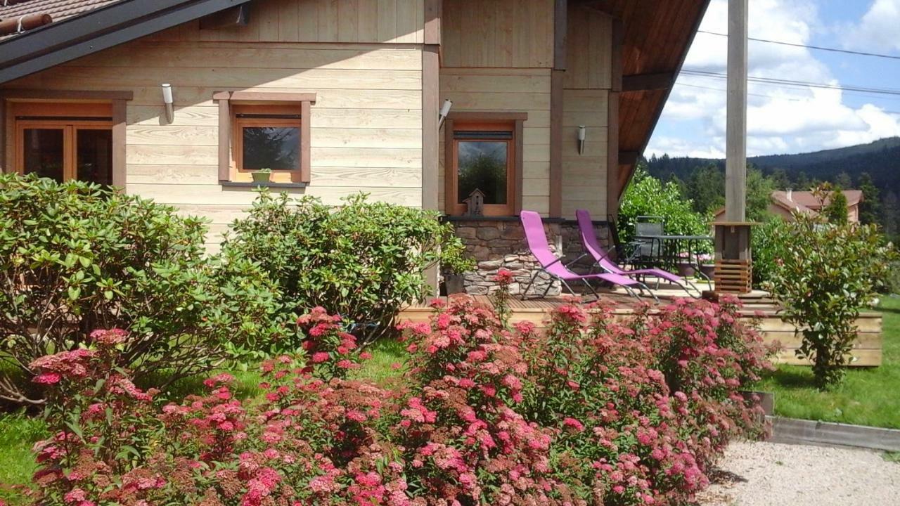 Chalet La Petite Perle Villa Gerardmer Exterior photo