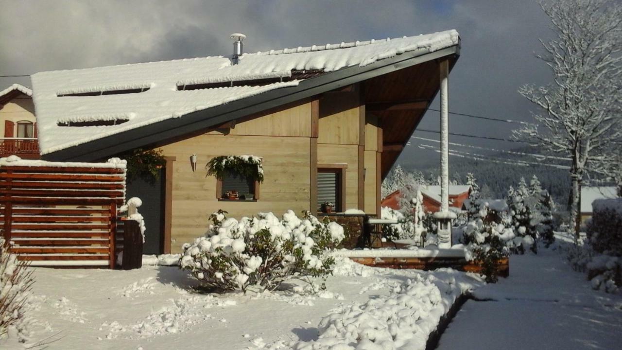 Chalet La Petite Perle Villa Gerardmer Exterior photo